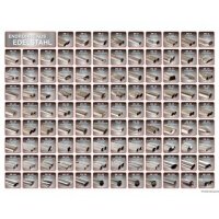 Friedrich Motorsport 90mm Duplex-Anlage Edelstahl i30N...